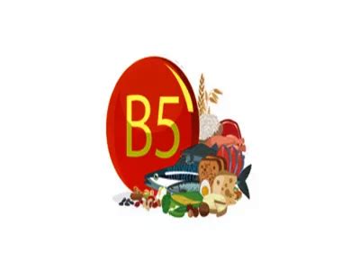 مصادر فيتامين ب 5 والاستخدامات الشائعة .